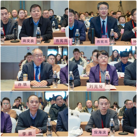 图片3.jpg 图片3.jpg